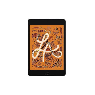 iPad Mini 7.9