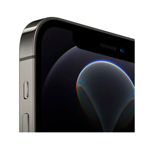 iPhone 12 Pro / 256 GB / Color Grafito