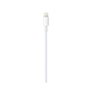 USB-C to Lightning Cable (1 m)