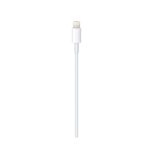 USB-C to Lightning Cable (1 m)