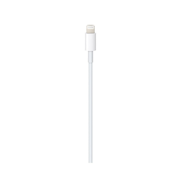USB-C to Lightning Cable (1 m)