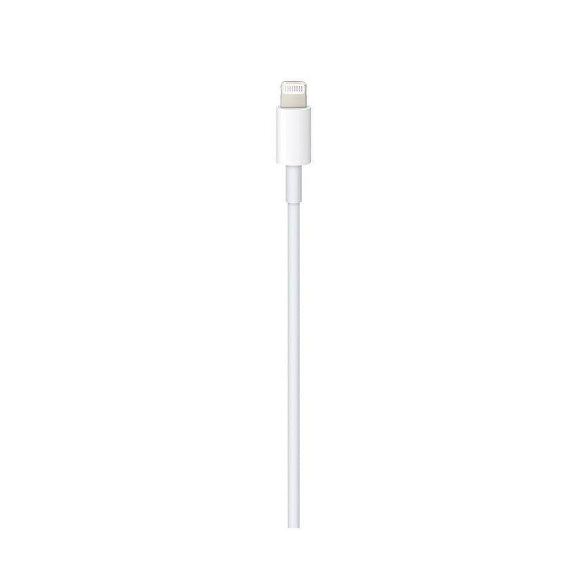 USB-C to Lightning Cable (1 m)