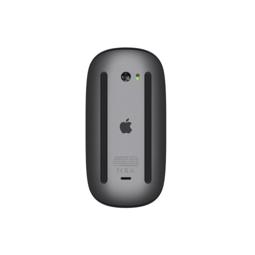 Magic Mouse 2 - Gris espacial
