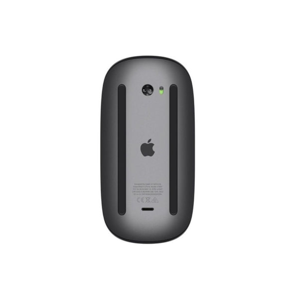 Magic Mouse 2 - Gris espacial