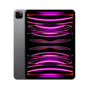 Ipad Pro APPLE 11 pulgadas 128GB Wi-Fi COLOR Gris Espacial