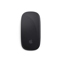 Magic Mouse 2 - Gris espacial