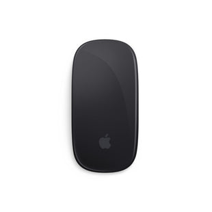 Magic Mouse 2 - Gris espacial
