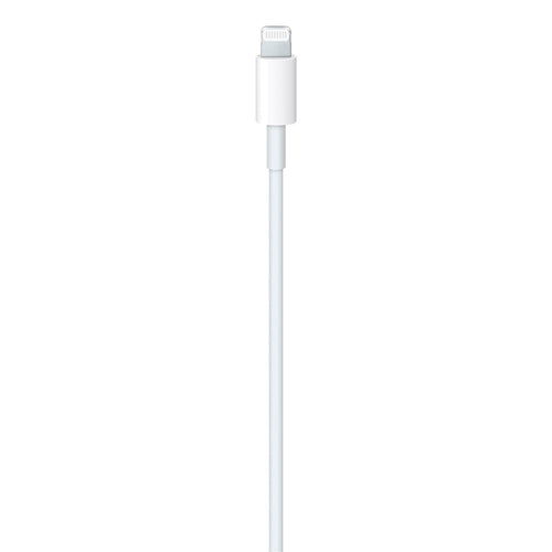 Cable APPLE  de USB-C a conector Lightning (1 m)