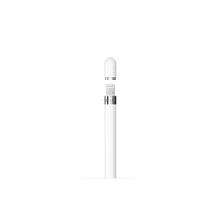 Apple Pencil (Primera Generación)